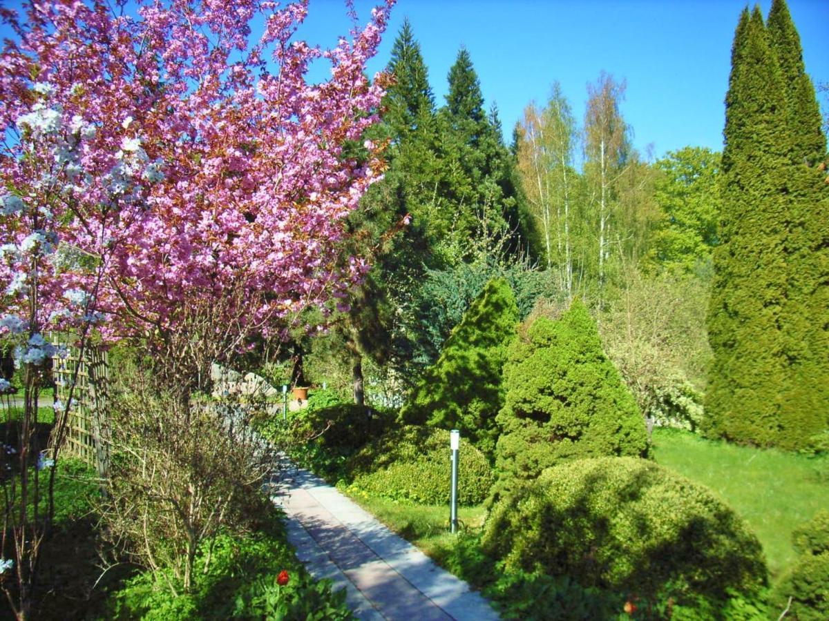 Ostsee Hotel-pension An Der Lindenallee 3* Bad Doberan