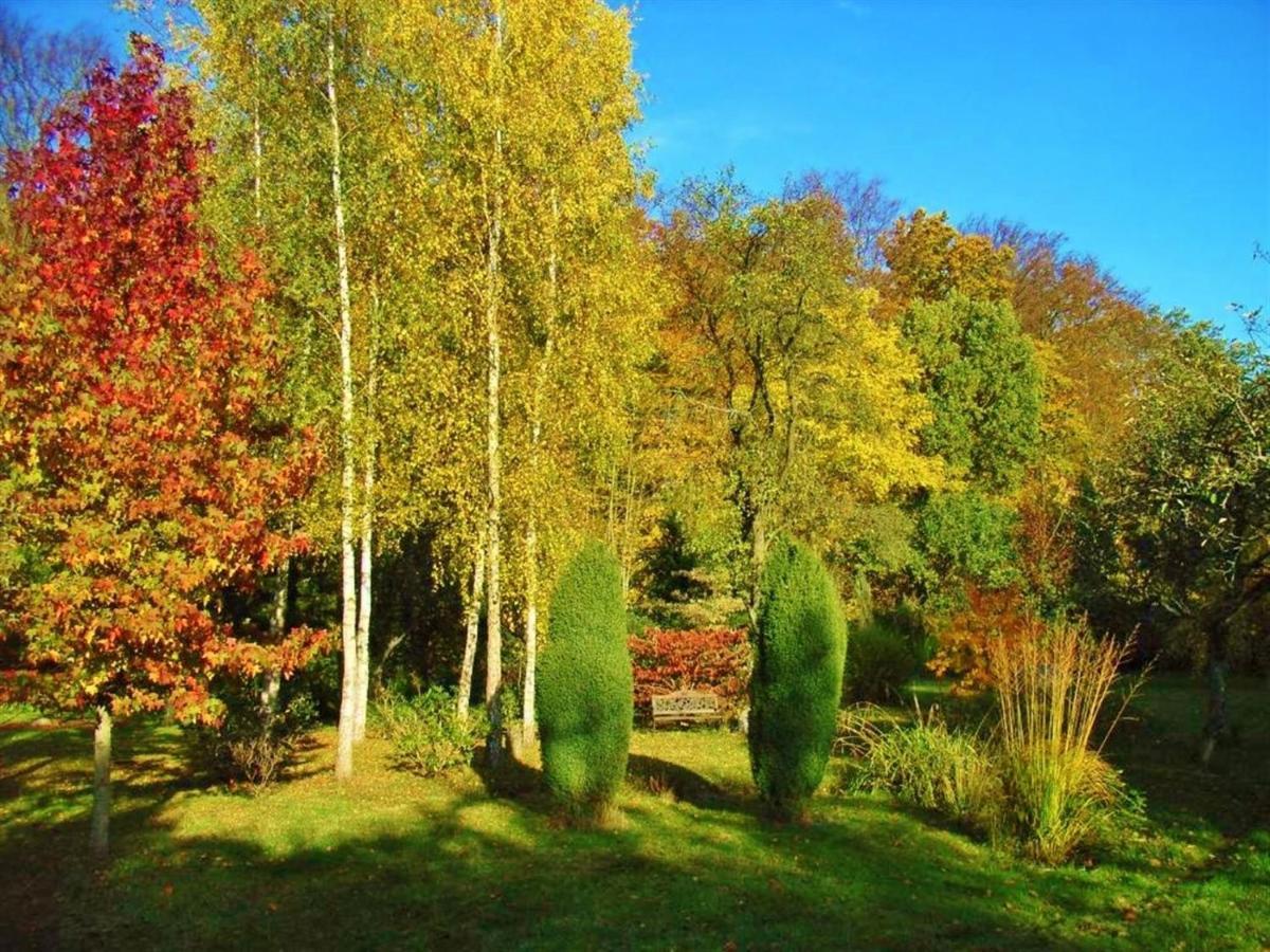 Guest house Ostsee Hotel-pension An Der Lindenallee