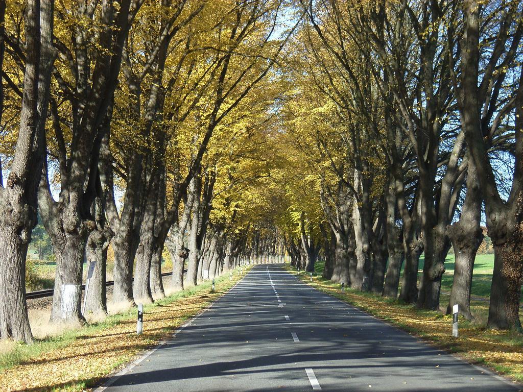 Ostsee Hotel-pension An Der Lindenallee