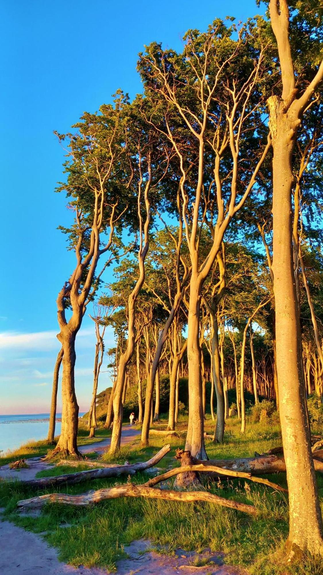 Ostsee-pension An Der Lindenallee 3*