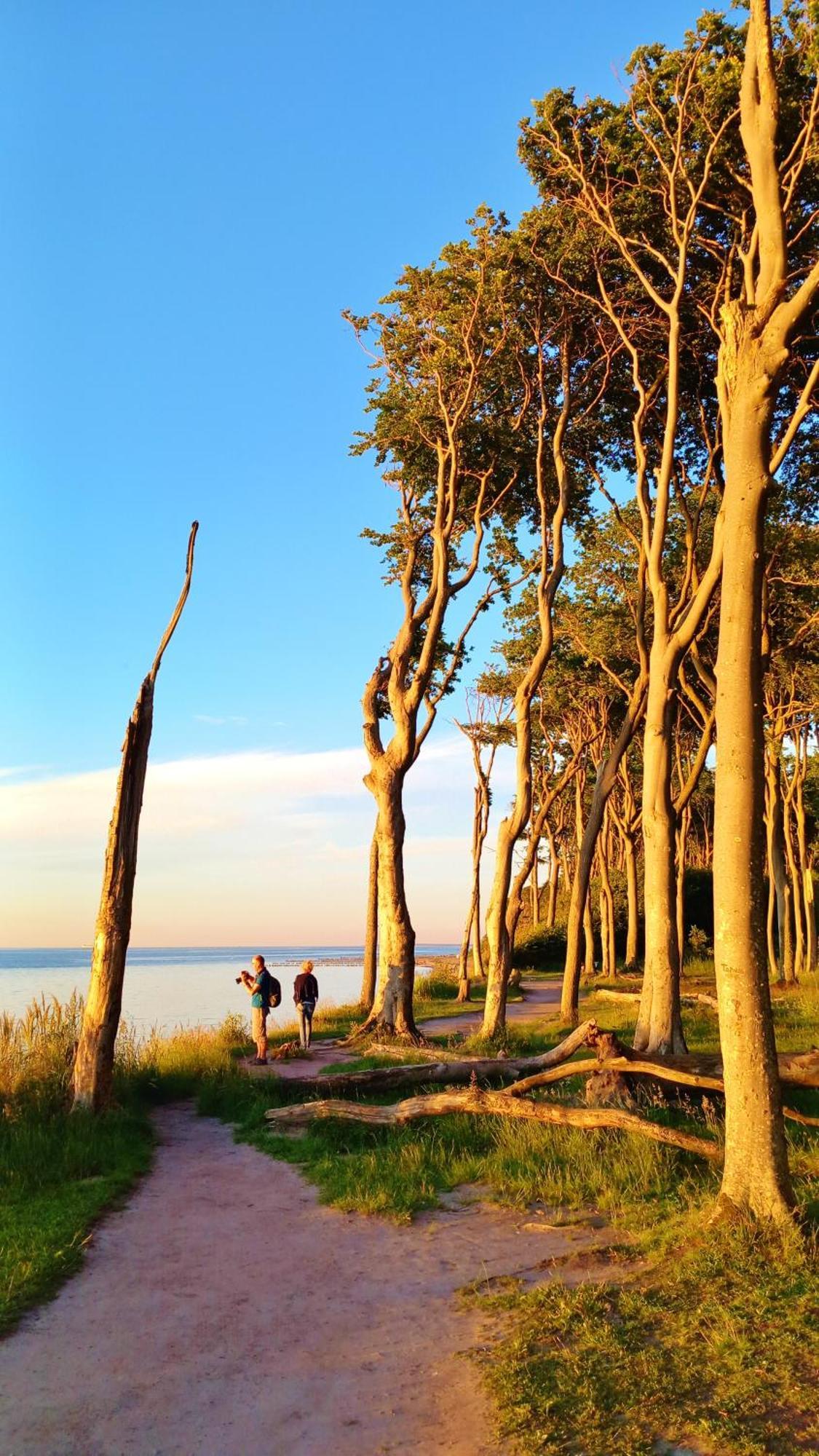 Ostsee Hotel-pension An Der Lindenallee 3* Bad Doberan