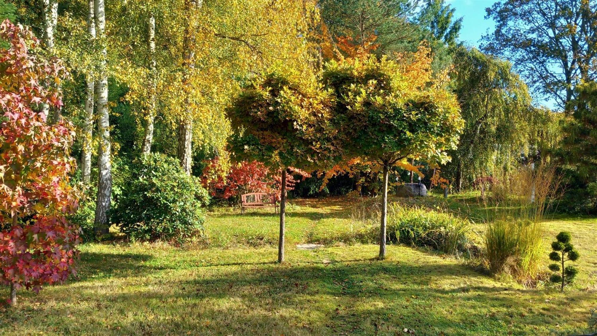 Ostsee Hotel-pension An Der Lindenallee Gæstehus 3*