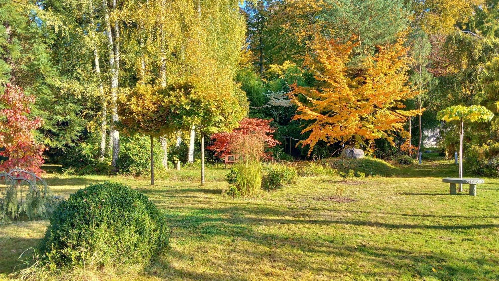 Ostsee Hotel-pension An Der Lindenallee Guest house Bad Doberan