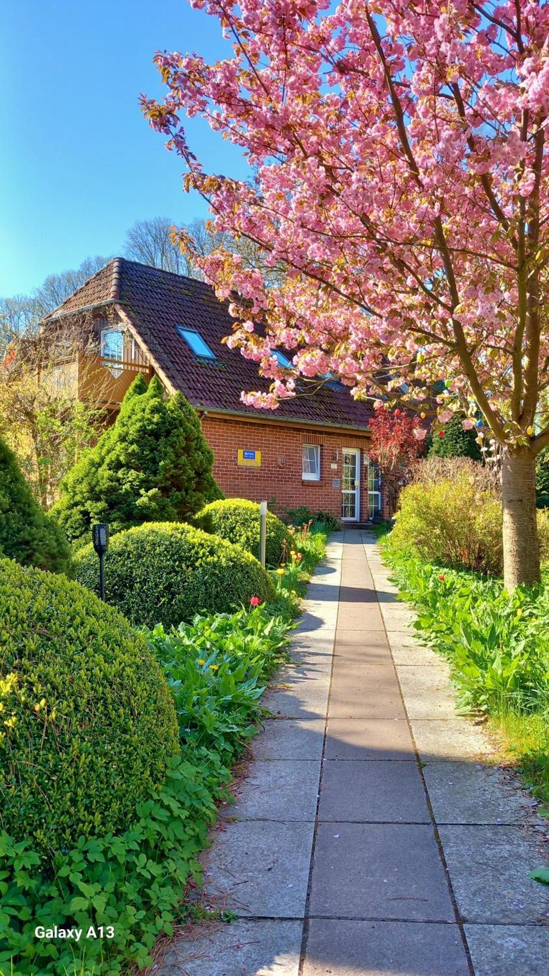 Ostsee Hotel-pension An Der Lindenallee Bad Doberan